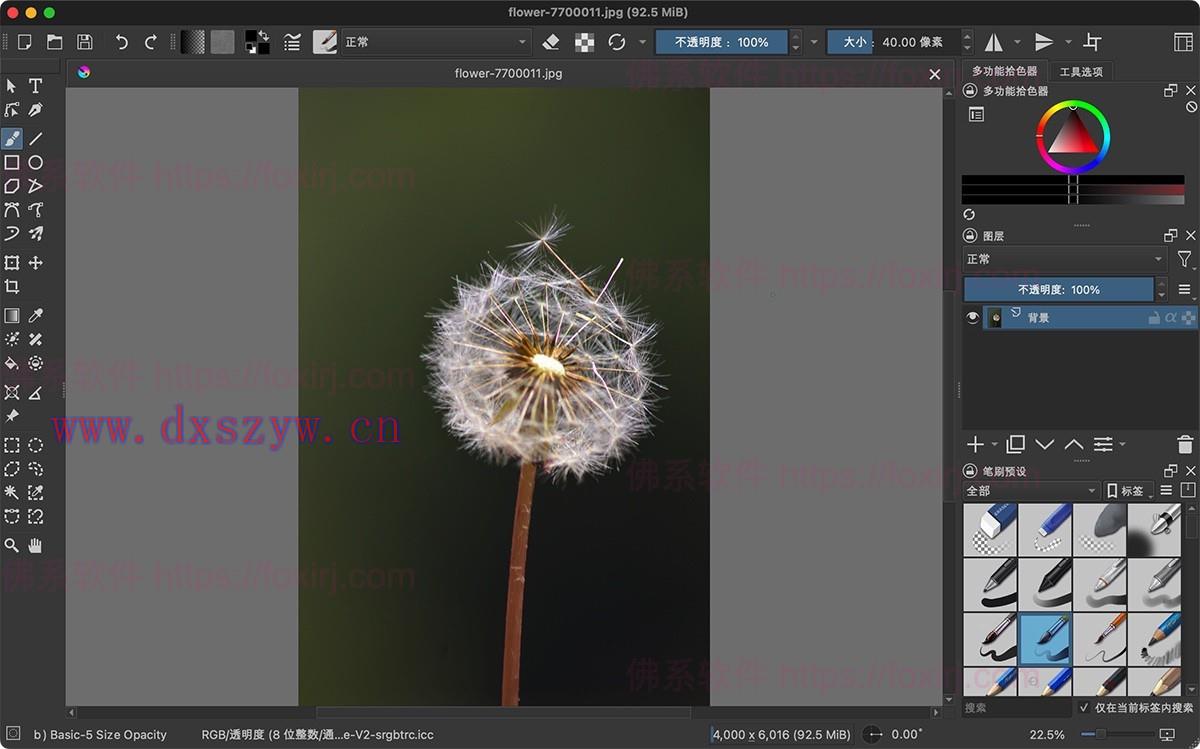 Krita 5.2.6 数字绘画设计-大学生资源网