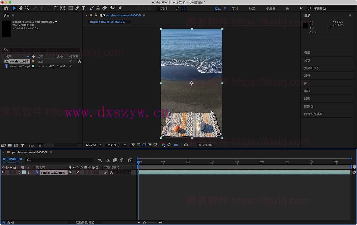 Adobe After Effects 2025 25.0.1.002 视频后期优化处理-大学生资源网
