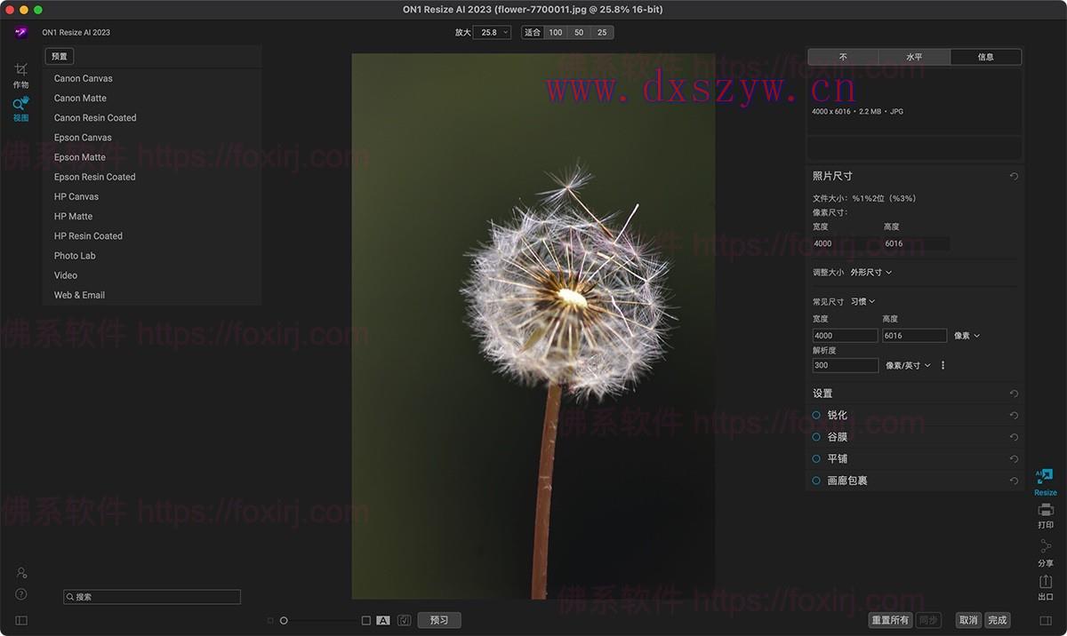 ON1 Resize AI 2023.5 17.5.1.14051 图片无损缩放-大学生资源网