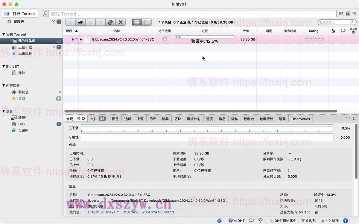 BiglyBT 3.7.0 BT种子下载器-大学生资源网