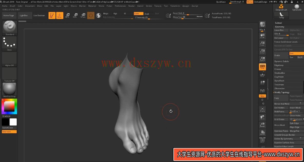 图片[4]-3dsmax+zbrush次时代女性角色教程-网创