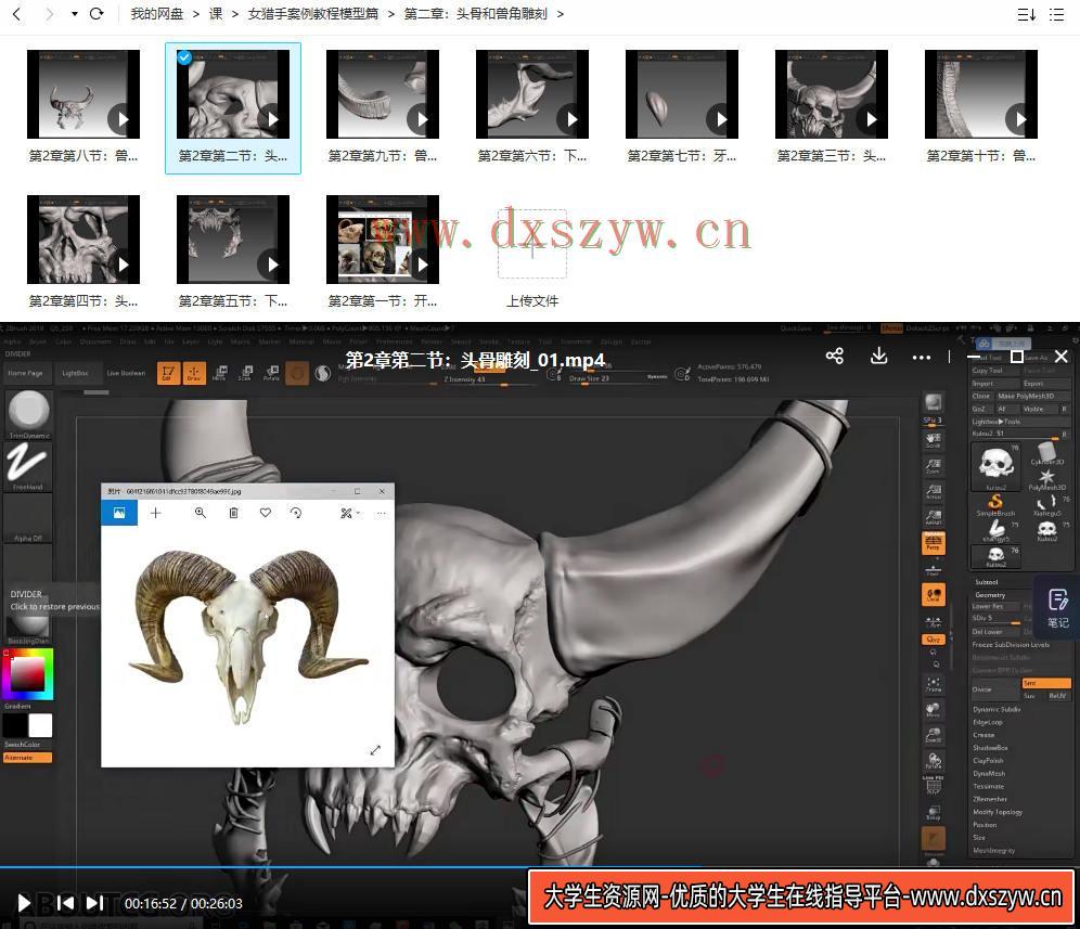 图片[4]-影视人物角色女猎案例教程模型篇【画质高清只有视频】-网创
