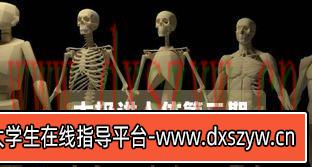 太极人体造型核心培训班第二期【画质高清有部分素材】-大学生资源网