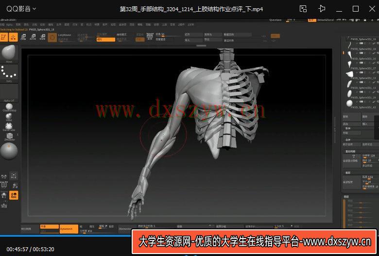 图片[3]-太极人体造型核心培训班第二期【画质高清有部分素材】-网创