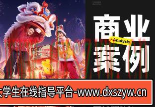 真实商业案例全流程详解2023全新DLC【画质还行只有视频】-大学生资源网