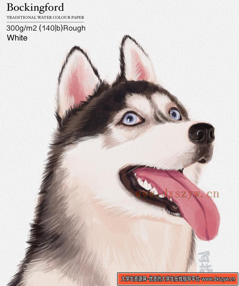 图片[4]-阿花宠物团练2021年7月结课ipad插画课【画质高清有笔刷素材】-网创