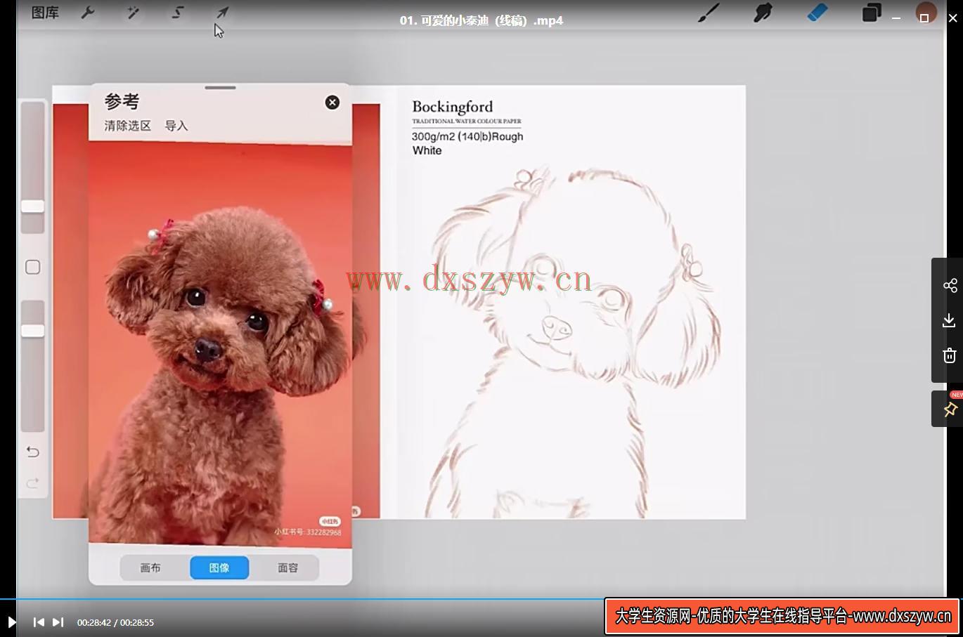 图片[6]-阿花宠物团练2021年7月结课ipad插画课【画质高清有笔刷素材】-网创