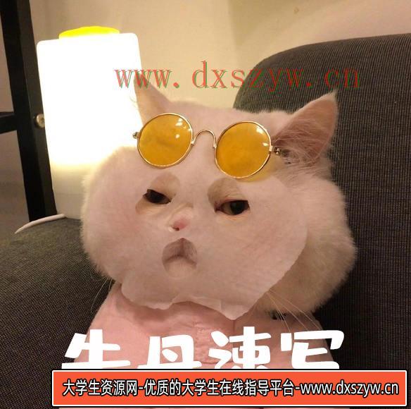 朱丹速写基础课【画质一般】-大学生资源网