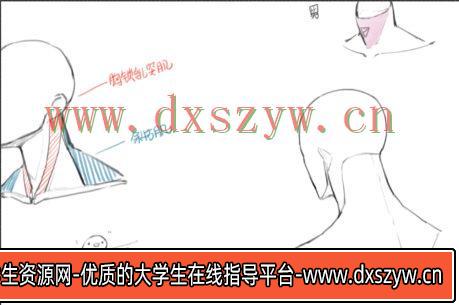 电池子人体解析课【画质不错只有视频】-大学生资源网