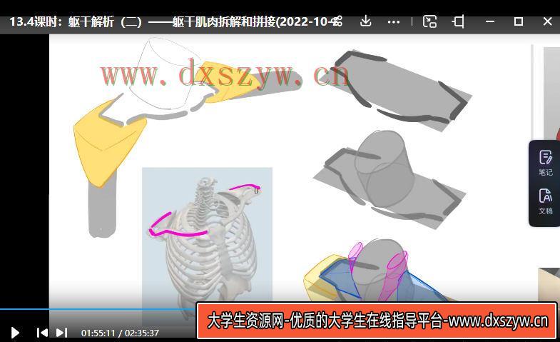 图片[4]-大木画画人体结构第7期2022年12月已结课【画质高清只有视频】-网创