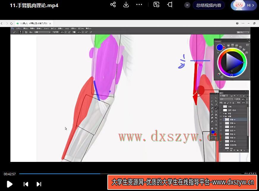 图片[3]-大木人体结构基础第11期2023年【画质高清只有视频】-网创
