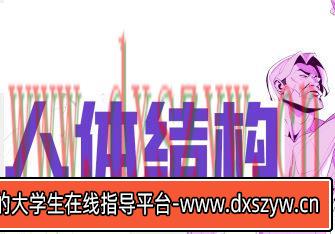 大木人体结构基础第11期2023年【画质高清只有视频】-大学生资源网
