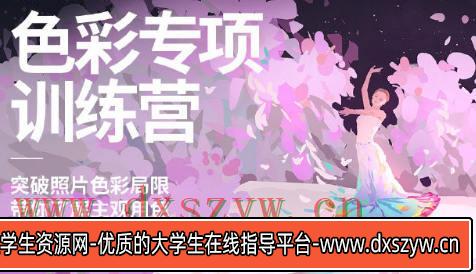 风绽色彩专项训练营第三期2024【画质高清有作业包】-大学生资源网