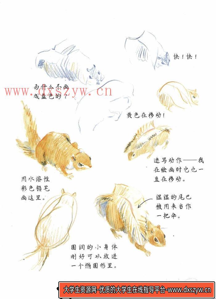 图片[5]-CZ.369- 水彩奶奶的速写薄-创作学习-71MB-127P-1PDF-大学生资源网