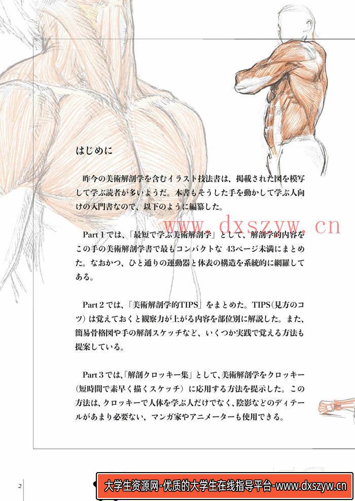 图片[4]-CZ.379- 素描中的美术解剖学-创作学习-72MB-98P-1PDF-大学生资源网