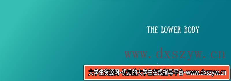 图片[5]-Mitch下身解剖-创作学习-413MB-33张+1PDF+2视频-大学生资源网