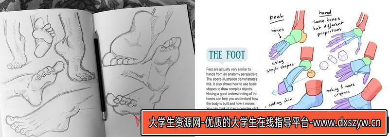 图片[6]-Mitch下身解剖-创作学习-413MB-33张+1PDF+2视频-大学生资源网