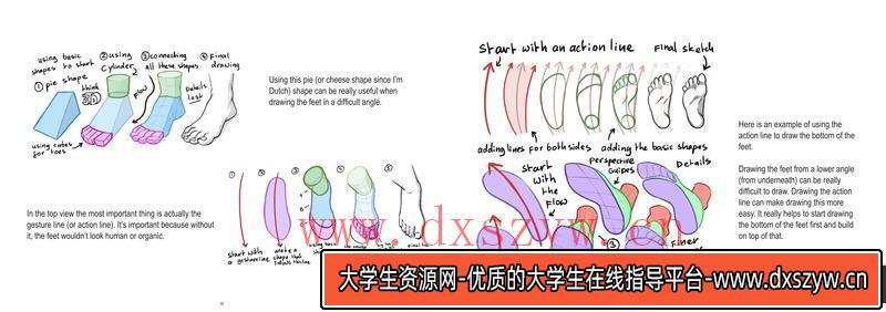 图片[9]-Mitch下身解剖-创作学习-413MB-33张+1PDF+2视频-大学生资源网