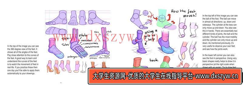 图片[8]-Mitch下身解剖-创作学习-413MB-33张+1PDF+2视频-大学生资源网
