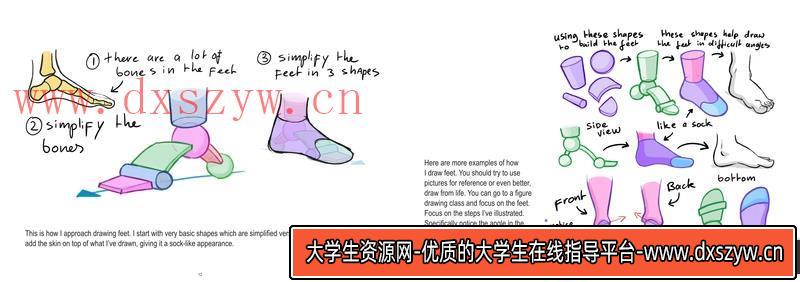 图片[7]-Mitch下身解剖-创作学习-413MB-33张+1PDF+2视频-大学生资源网