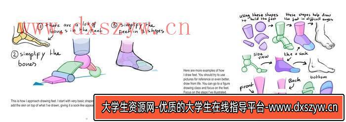 图片[7]-CZ.042- Mitch下身解剖-创作学习-413MB-33张+1PDF+2视频-大学生资源网