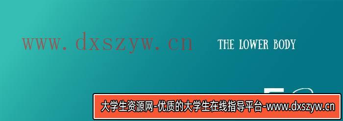图片[5]-CZ.042- Mitch下身解剖-创作学习-413MB-33张+1PDF+2视频-大学生资源网