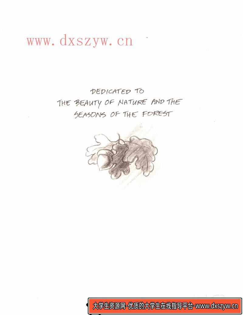 图片[7]-DH182- 小马宝莉设定集-动画设计专区-269M-169P-1PDF-大学生资源网