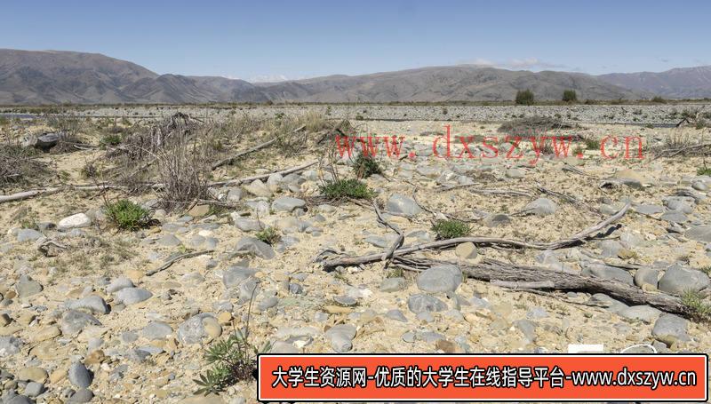 SC40- 279张黏土峭壁素材图-摄影参考专区-1.89GB-279P-大学生资源网