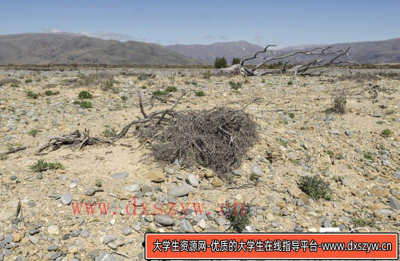 图片[3]-SC40- 279张黏土峭壁素材图-摄影参考专区-1.89GB-279P-大学生资源网