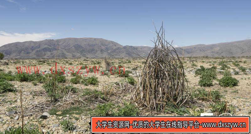 图片[7]-SC40- 279张黏土峭壁素材图-摄影参考专区-1.89GB-279P-大学生资源网