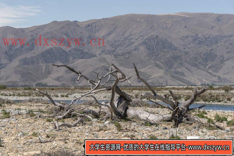 图片[8]-SC40- 279张黏土峭壁素材图-摄影参考专区-1.89GB-279P-大学生资源网