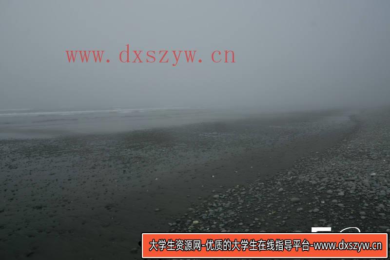 图片[7]-SC51- 339张死亡海滨素材图-摄影参考专区-1.53GB-339P-大学生资源网
