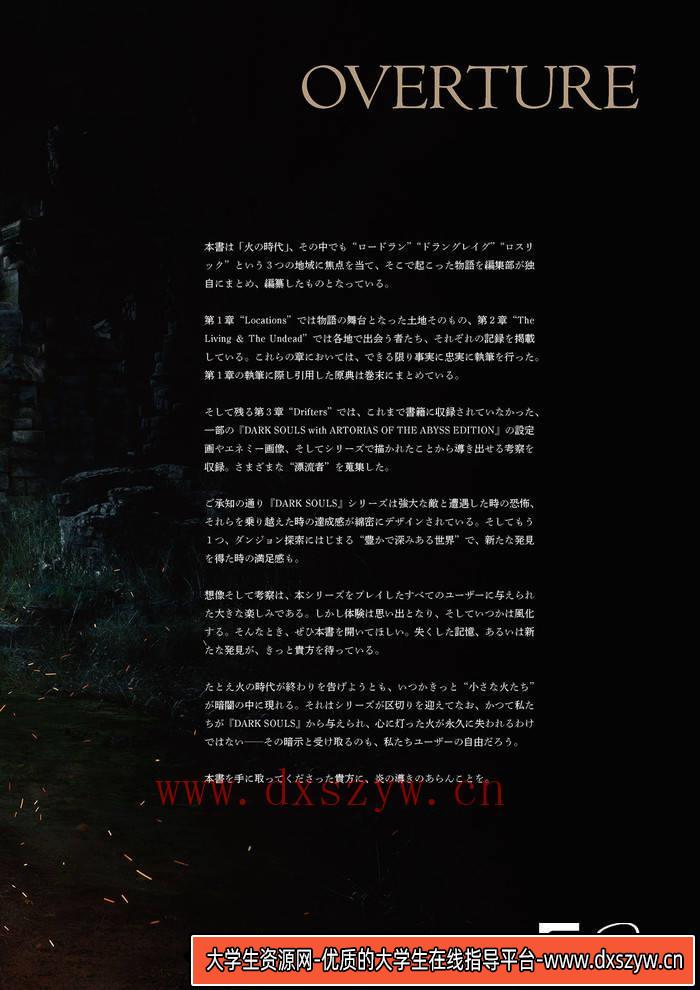 图片[4]-YH171- 黑暗之魂档案集-游戏原画专区-197M-321P-大学生资源网
