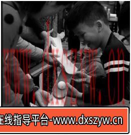 2019年下半年国家教师资格考试《保教知识与能力》（幼儿园）真题-大学生资源网