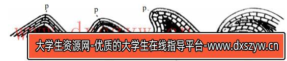 图片[2]-2020年下半年教师资格证考试《初中地理》题-大学生资源网