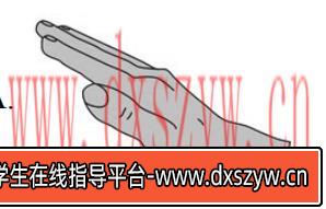2020年下半年教师资格证考试《初中音乐》题（考生回忆版）-大学生资源网