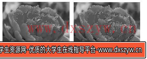 图片[9]-2019年下半年教师资格证考试《初中信息技术》题-大学生资源网
