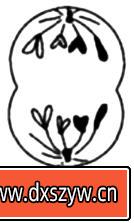 图片[8]-2023年上半年教师资格证考试《高中生物》题（考生回忆版）-大学生资源网