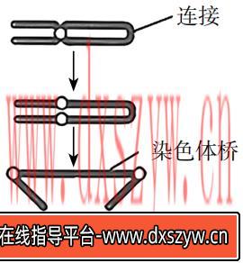 图片[15]-2023年上半年教师资格证考试《高中生物》题（考生回忆版）-大学生资源网