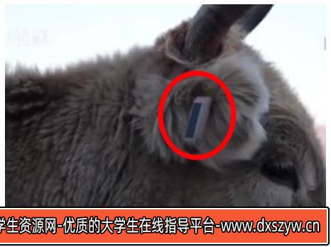 2021年下半年教师资格证考试《高中信息技术》题-大学生资源网