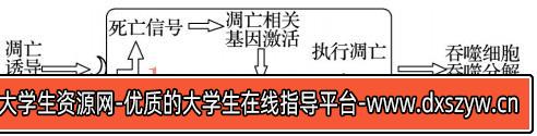 图片[14]-2018年浙江省教师招聘《中学生物》考试题-大学生资源网