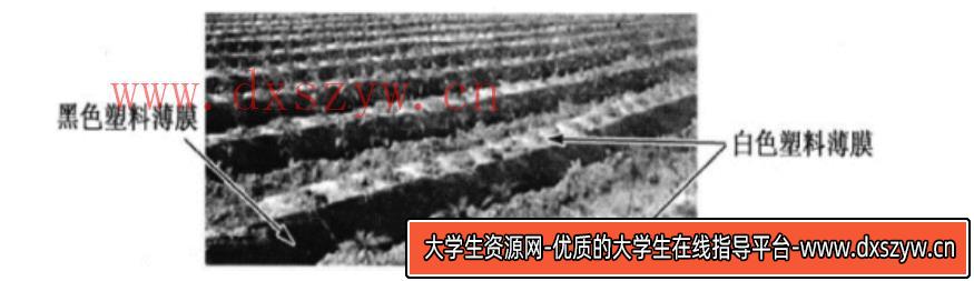 图片[7]-2020年山东省潍坊市安丘市公开教师招聘《高中地理》考试题-大学生资源网