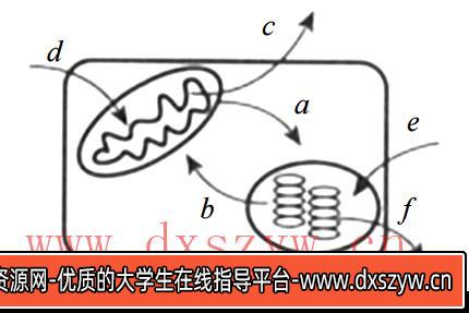 2019年广东省广州市白云区教师招聘考试中学生物试题-大学生资源网