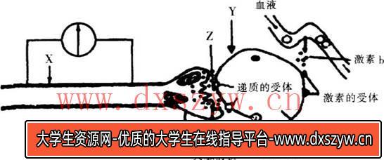 2017年福建省教师招聘考试《中学生物》真题及答案(精选)-大学生资源网