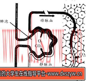 图片[4]-2017年福建省教师招聘考试《中学生物》真题及答案(精选)-大学生资源网
