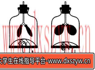 图片[5]-2017年福建省教师招聘考试《中学生物》真题及答案(精选)-大学生资源网