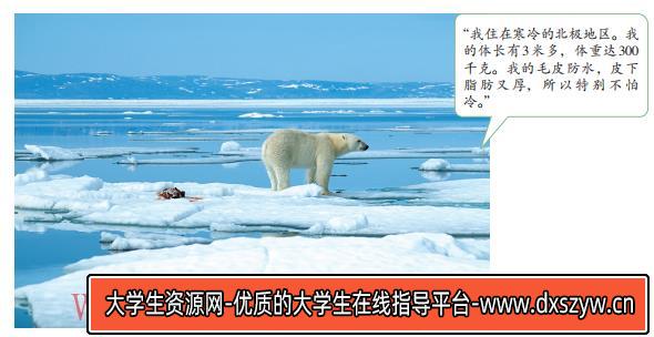 图片[17]-2019年安徽省中小学教师招聘题《中学地理》-大学生资源网