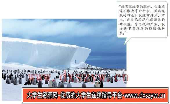 图片[16]-2019年安徽省中小学教师招聘题《中学地理》-大学生资源网