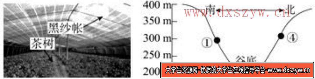图片[6]-2021年7月17日天津市北辰区教师招聘《地理学科》考试题（精选）-大学生资源网