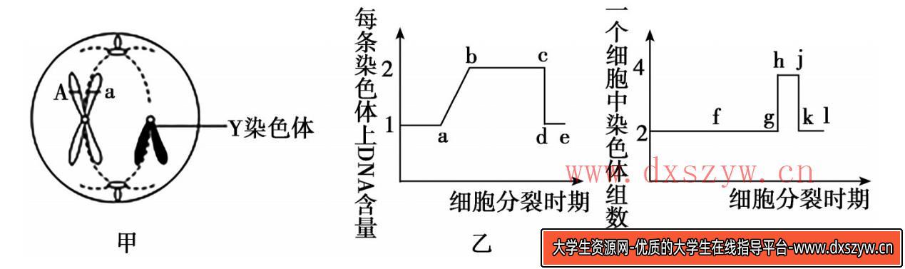图片[5]-2020年天津市津南区教师招聘《中学生物》考试题-大学生资源网
